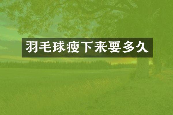 羽毛球瘦下来要多久