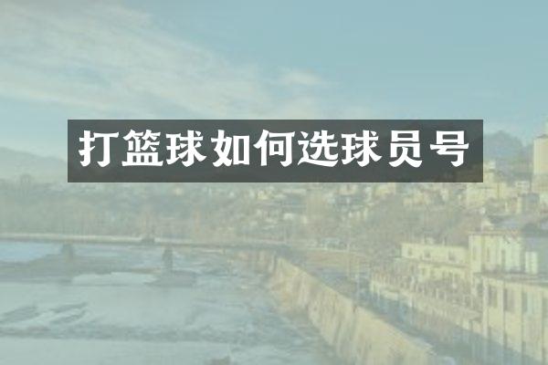 打篮球如何选球员号