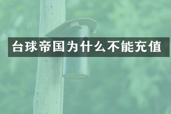 台球帝国为什么不能充值