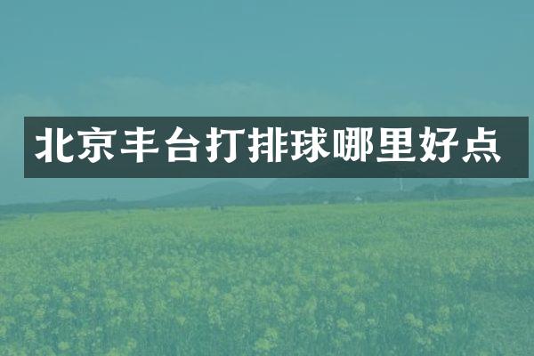北京丰台打排球哪里好点