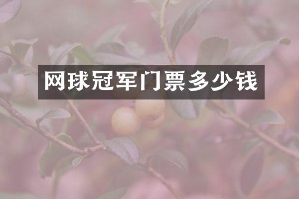 网球冠军门票多少钱