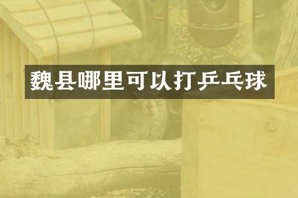 魏县哪里可以打乒乓球