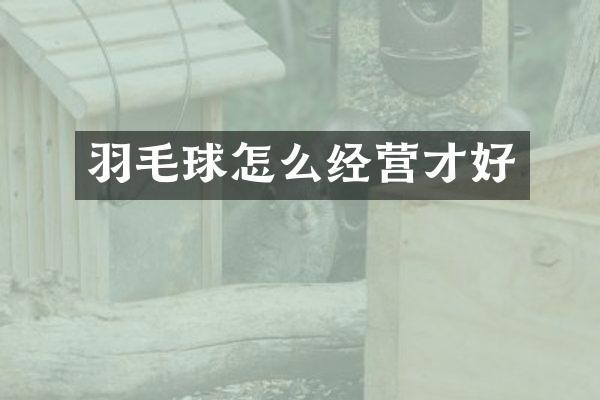 羽毛球怎么经营才好