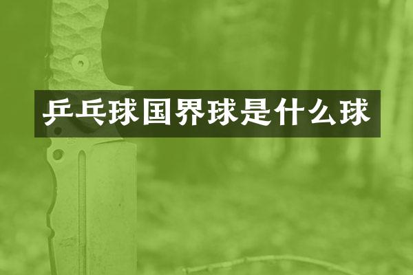 乒乓球国界球是什么球