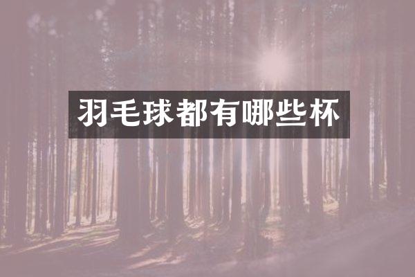 羽毛球都有哪些杯