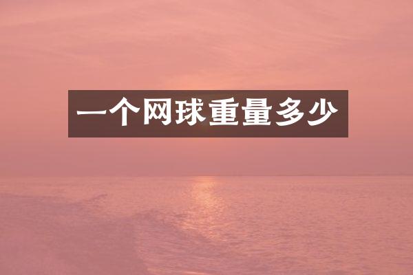 一个网球重量多少