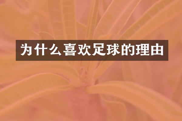 为什么喜欢足球的理由
