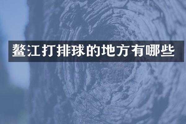 鳌江打排球的地方有哪些