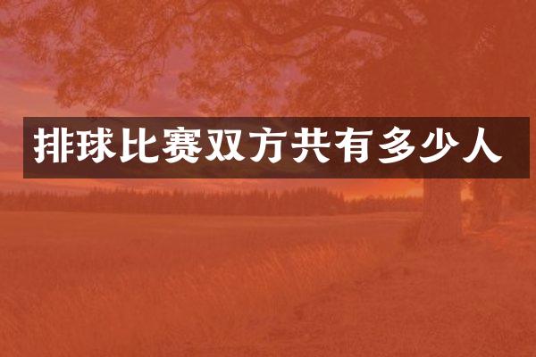 排球比赛双方共有多少人