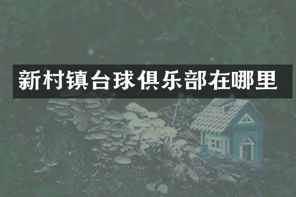 新村镇台球俱乐部在哪里