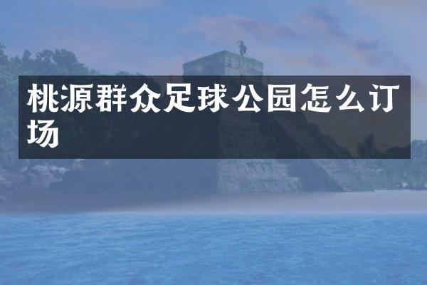 桃源群众足球公园怎么订场