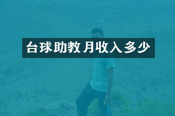 台球助教月收入多少