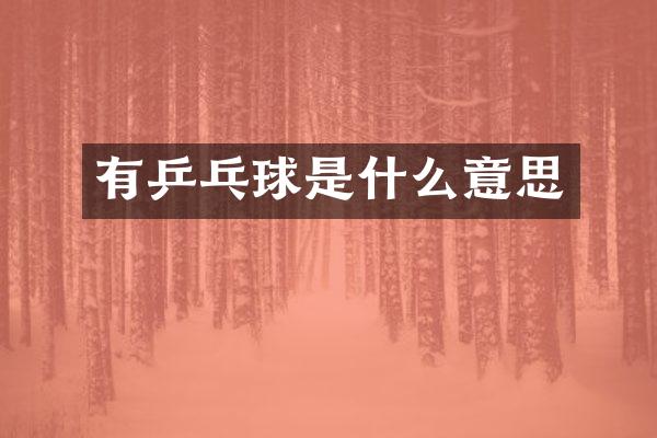 有乒乓球是什么意思