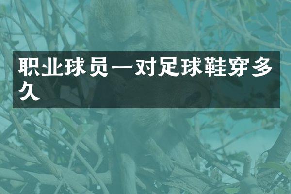 职业球员一对足球鞋穿多久