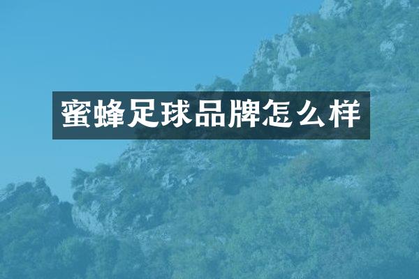 蜜蜂足球品牌怎么样