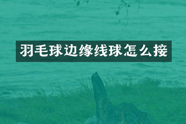 羽毛球边缘线球怎么接