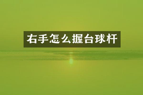 右手怎么握台球杆