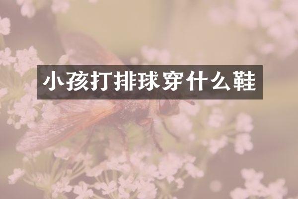 小孩打排球穿什么鞋