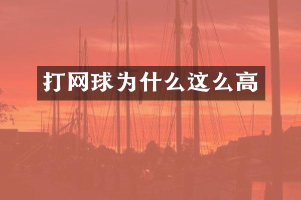 打网球为什么这么高