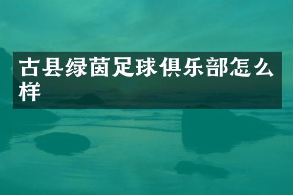古县绿茵足球俱乐部怎么样