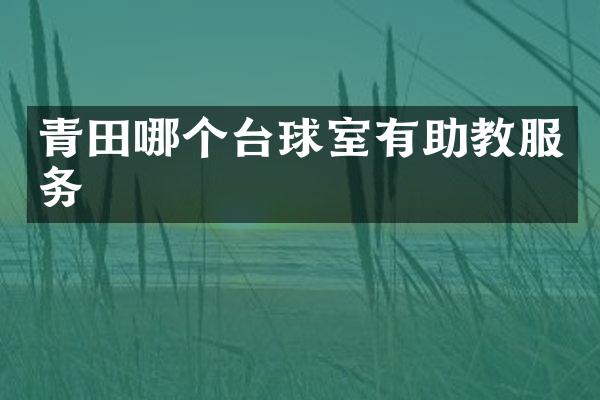 青田哪个台球室有助教服务