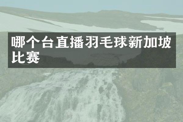 哪个台直播羽毛球新加坡比赛