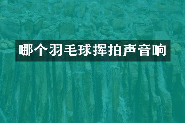 哪个羽毛球挥拍声音响