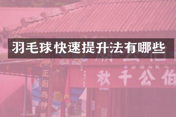 羽毛球快速提升法有哪些