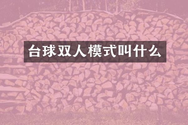 台球双人模式叫什么
