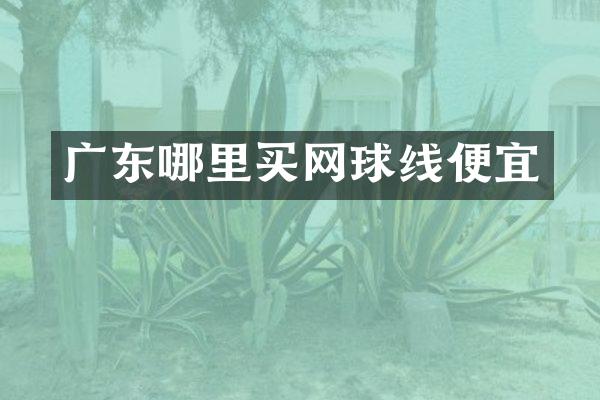 广东哪里买网球线便宜