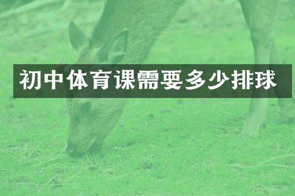 初中体育课需要多少排球