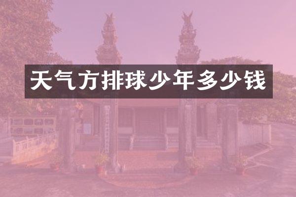 天气方排球少年多少钱