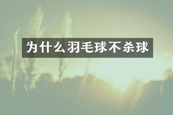 为什么羽毛球不杀球