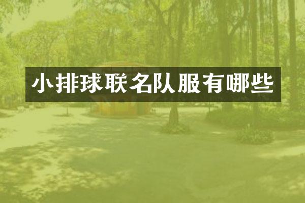 小排球联名队服有哪些