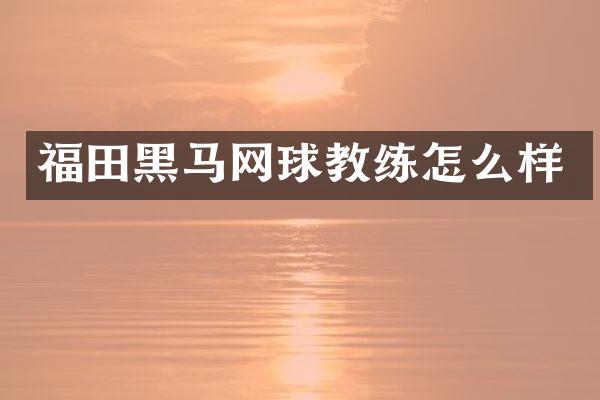 福田黑马网球教练怎么样