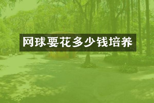 网球要花多少钱培养