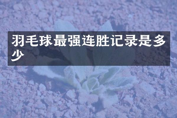 羽毛球最强连胜记录是多少