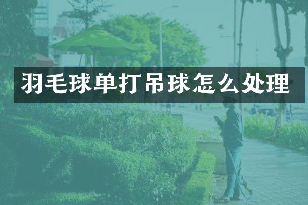 羽毛球单打吊球怎么处理