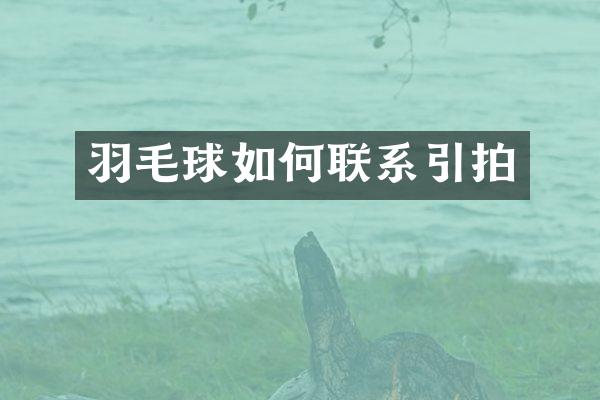 羽毛球如何联系引拍