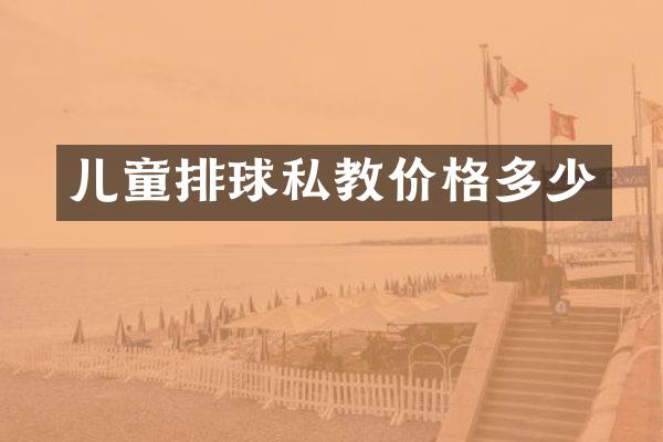 儿童排球私教价格多少