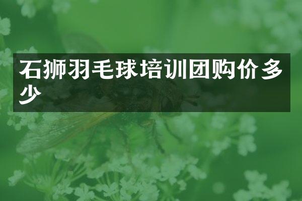 石狮羽毛球培训团购价多少