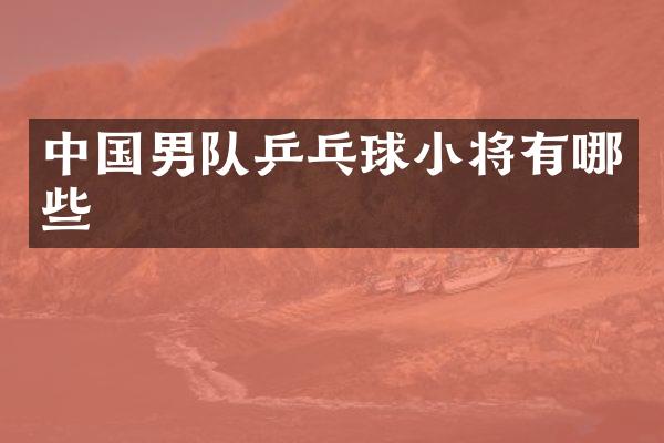中国男队乒乓球小将有哪些