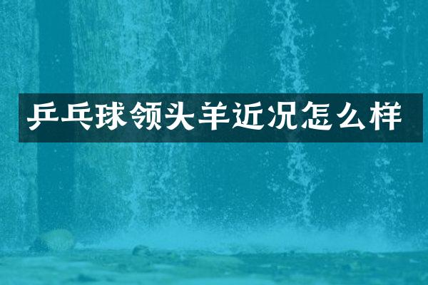 乒乓球领头羊近况怎么样