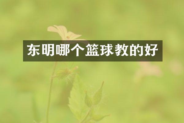 东明哪个篮球教的好