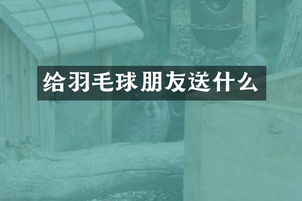 给羽毛球朋友送什么