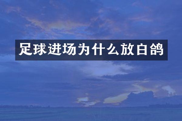 足球进场为什么放白鸽