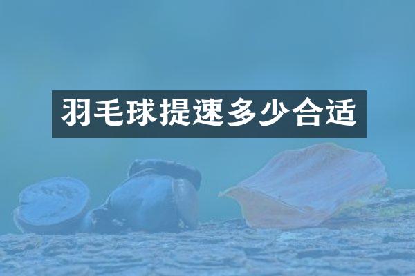 羽毛球提速多少合适