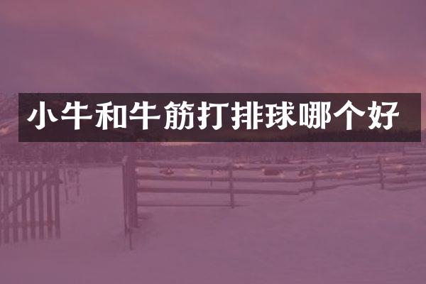 小牛和牛筋打排球哪个好