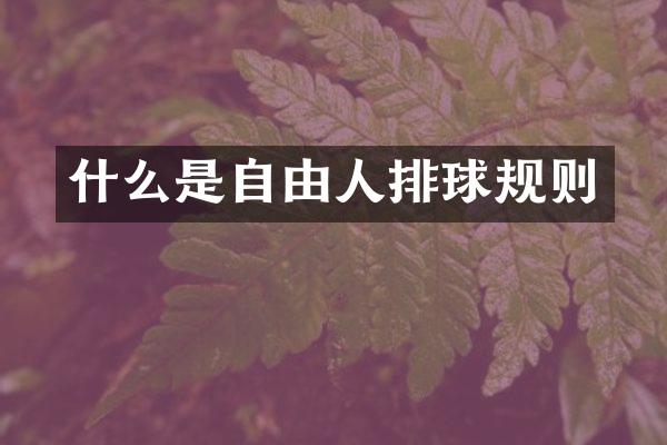 什么是自由人排球规则