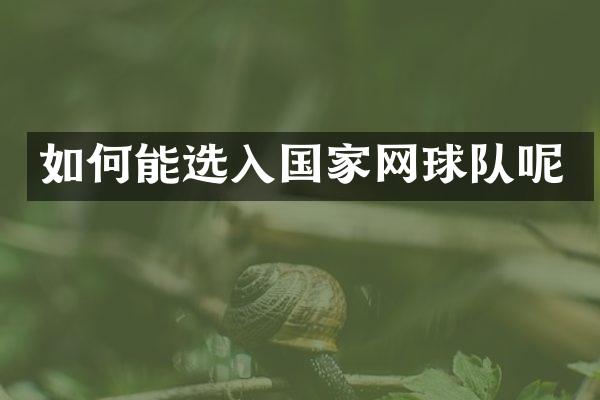 如何能选入国家网球队呢